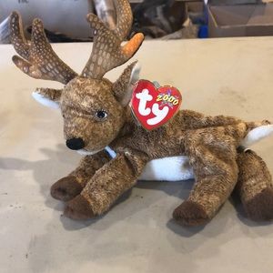 2000 Roxie beanie baby